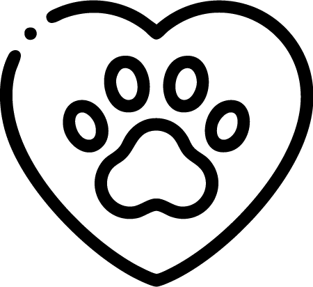 Seezugang Icon